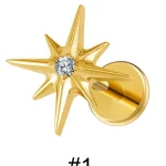 eight-pointed-ziron-titanium-alloy-ear-lip-studs-2 body piercing jewellery