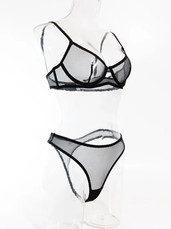 teddy-lingerie-perstective-basic-set-5 lingerie teddy