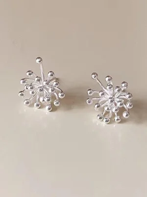 sliver earrings