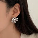 ear-piercing-jewelry-sliver-grape-leaf-ear-stud-1 ear jewellery