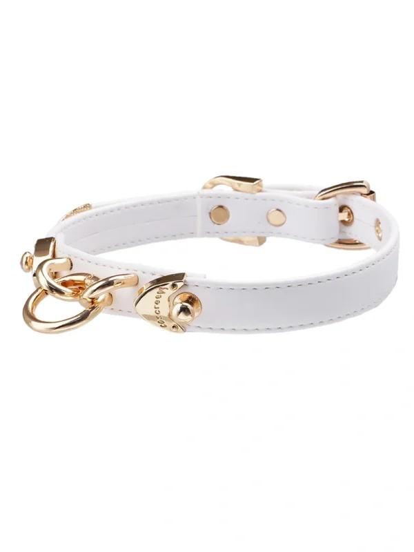 luxury-leather-gethic-choker-2 gethic collar