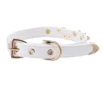 luxury-leather-gethic-choker-3 gethic collar