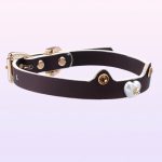 temperature-discoloration-choker-puppy-ears-collar-3 discolor collar