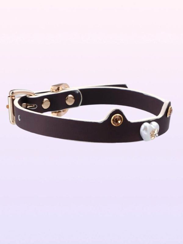 temperature-discoloration-choker-puppy-ears-collar-3 discolor collar