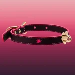 temperature-discoloration-cute-heart-choker-3 PU collar