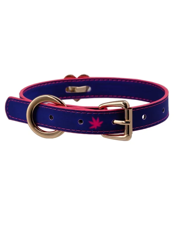 temperature-discoloration-cute-heart-choker-7 PU collar
