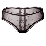 girl-panty-perspective-mesh-1 women panties