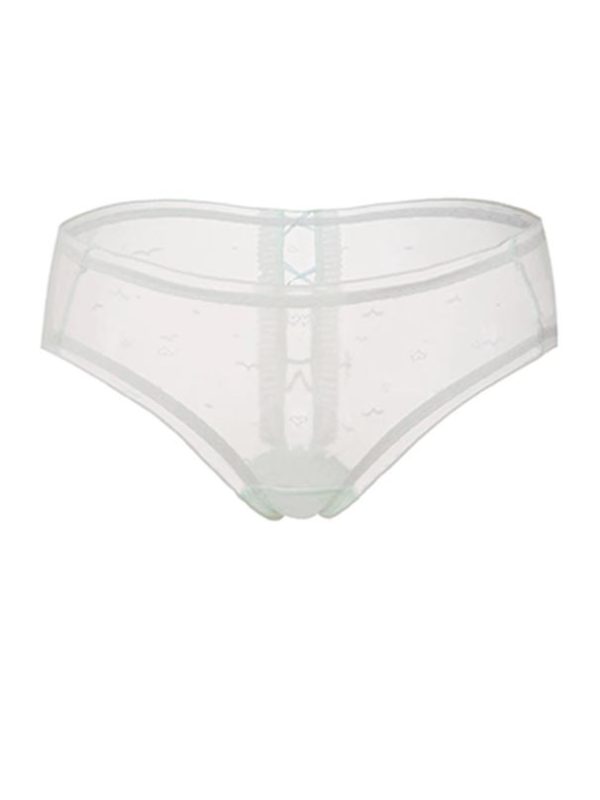girl-panty-perspective-mesh-10 women panties