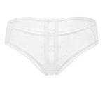 girl-panty-perspective-mesh-4 women panties