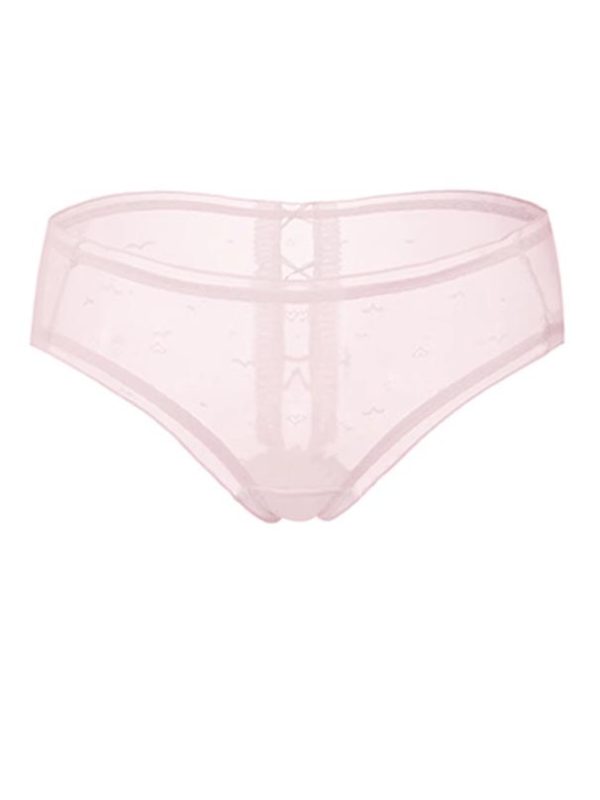 girl-panty-perspective-mesh-7 women panties