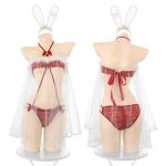 bunny-lingerie-costumes-mesh-suit-6 bunny cosplay costumes