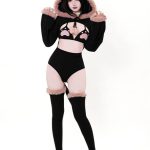 cat-cosplay-lingerie-bikini-suit-2 cosplay costumes lingerie