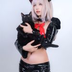 cat-costumes-lingerie-pu-suit-5 cosplay costumes